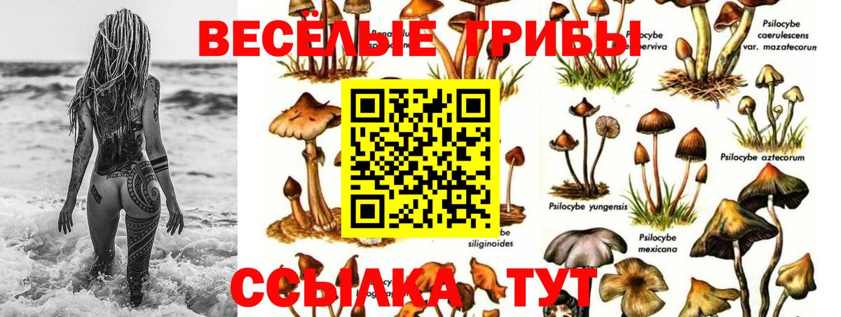 Галлюциногенные грибы MAGIC MUSHROOMS Новошахтинск