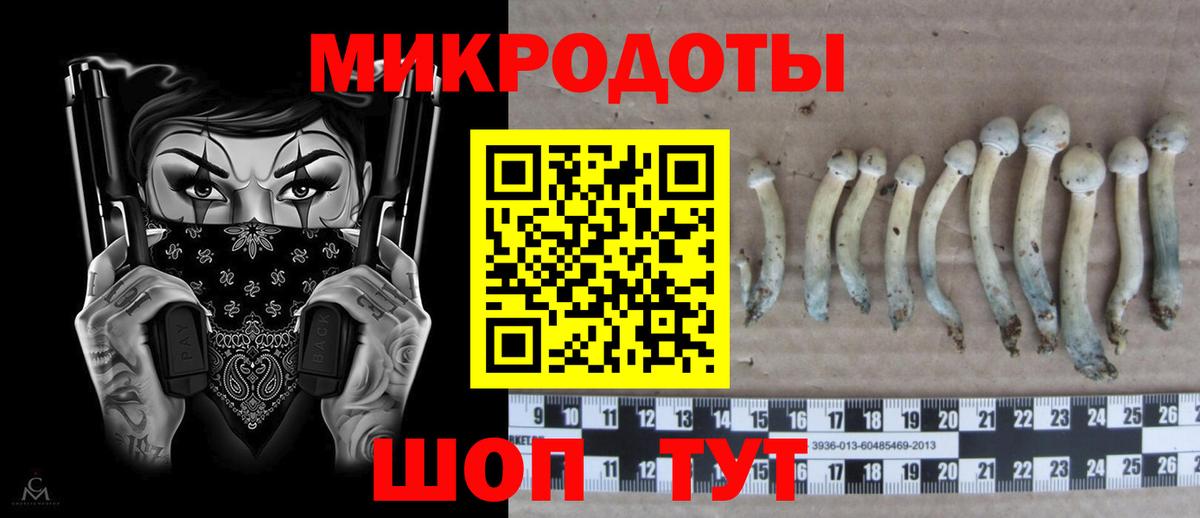 Псилоцибиновые грибы ЛСД  Вход с VPN  Новошахтинск 